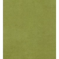 Стул Голдоптима Алла (белый/ткань зеленая)