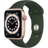 Умные часы Apple Watch Series 6 LTE 44 мм (сталь золотистый/зеленый спортивный)