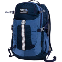 Городской рюкзак Polar П2170 (синий)