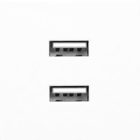 Розетка USB Orno OR-GM-9010/W/USBX2
