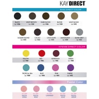 Крем-краска для волос KayPro Kay Direct 100 мл Серебристый Блонд