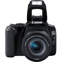 Зеркальный фотоаппарат Canon EOS 250D Kit 18-55 IS STM (черный)