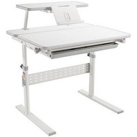 Парта Растущая мебель Study Desk E202S (серый)