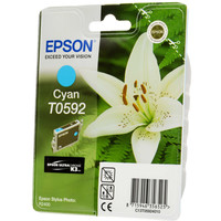 Картридж Epson C13T05924010