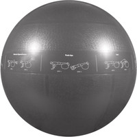 Гимнастический Go Fit Pro Stability Ball 75 см