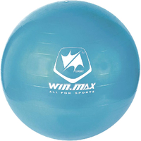 Гимнастический мяч WIN.MAX WMF09648 (голубой)