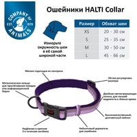 Ошейник Halti Collar XS (фиолетовый)