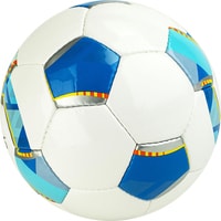 Футбольный мяч Torres Match F320025 (5 размер)