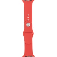 Набор ремешков Evolution AW44-S01 для Apple Watch 42/44 мм (coral)