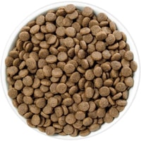 Сухой корм для кошек Hill's Prescription Diet Gastrointestinal Biome при расстройствах пищеварения и для заботы о микробиоме кишечника, с курицей 3 кг