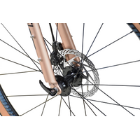 Велосипед Stark Gravel 700.2 D р.22 2023 (бронзовый/черный)