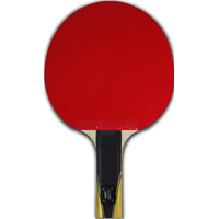 Ракетка для настольного тенниса Gambler Max Speed Carbon Volt M GRC-6 (прямая)