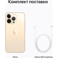 Смартфон Apple iPhone 13 Pro Dual SIM 256GB (золотой)