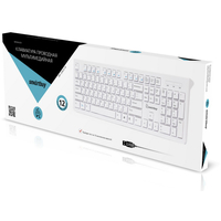 Клавиатура SmartBuy 206 (белый) [SBK-206US-W]