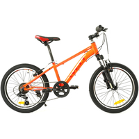 Детский велосипед Welt Peak 20 2022 (оранжевый)