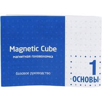 Головоломка Magnetic Cube Неокуб 207-101-1 (стальной)