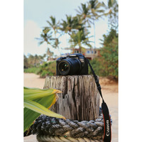 Беззеркальный фотоаппарат Canon EOS R10 RF-S 18-150mm F3.5-6.3 IS STM