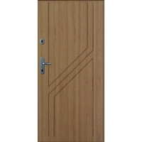 Металлическая дверь Gerda SX 10 Standart VA1/RLE