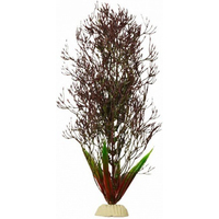 Искусственное растение Barbus Горгонария Plant 030/30 (черный)