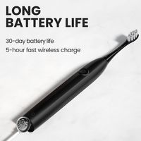 Электрическая зубная щетка Oclean Endurance Electric Toothbrush (черный)