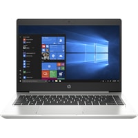 Ноутбук HP ProBook 445 G7 1F3N9EA