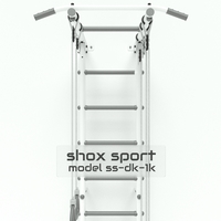 Детский спортивный комплекс Shox DK-1K (белый/серый)