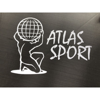 Батут Atlas Sport 312 см - 10ft (с лестницей, внутренняя сетка, сливовый)