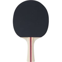 Ракетка для настольного тенниса TORNEO Hobby TI-B200