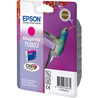 Картридж для принтера Epson EPT08034010 (C13T08034010)