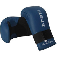 Тренировочные перчатки Atemi LTB-19202 (XL, синий)