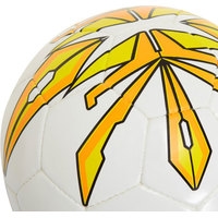 Футбольный мяч Macron Vector XE (5 размер)