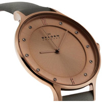Наручные часы Skagen SKW2148