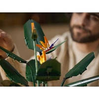 Конструктор LEGO Creator Expert 10289 Райская птица