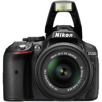 Зеркальный фотоаппарат Nikon D5300 Kit 18-55mm VR II
