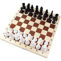 Шахматы Десятое королевство 03878