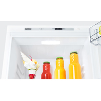 Однокамерный холодильник ATLANT Х-1601-100