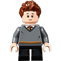 Конструктор LEGO Harry Potter 75953 Гремучая ива