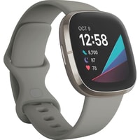 Умные часы Fitbit Sense (серый/серебристый)