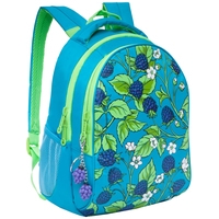 Школьный рюкзак Grizzly RD-832-2/4 (голубой/зеленый)