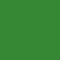 Колеровочная краска Dekor 26 (зеленый, 0.1 кг)