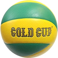 Мяч для пляжного волейбола Gold Cup CGCV8 (5 размер)