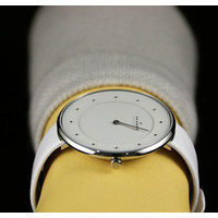 Наручные часы Skagen SKW2136