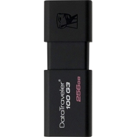 USB Flash Kingston DataTraveler 100 G3 256GB