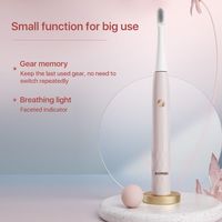 Электрическая зубная щетка Bomidi T501 Sonic Electric Toothbrush (розовый)