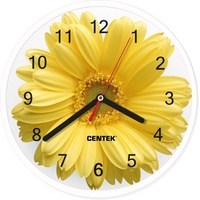 Настенные часы CENTEK CT-7102 Flower