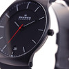Наручные часы Skagen SKW6087