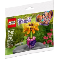 Конструктор LEGO Friends 30404 Цветок дружбы
