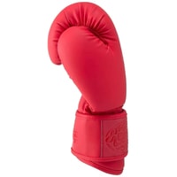 Боевые перчатки Fight Expert BGS-V010 12 Oz (красный)