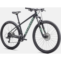 Велосипед Specialized Rockhopper Sport 29 M 2022 (Satin Forest/Oasis)