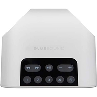 Беспроводная аудиосистема Bluesound Flex 2i (белый)